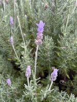 Wellington &ndash; &copy; Anne Fohlert (Eberhardt TRAVEL)