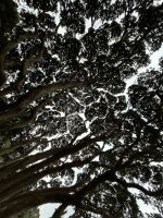 Wellington &ndash; &copy; Anne Fohlert (Eberhardt TRAVEL)