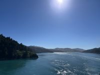 Fährüberfahrt nach Picton &ndash; &copy; Anne Fohlert (Eberhardt TRAVEL)