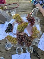 Fahrradtour durch die Weinberge &ndash; &copy; Anne Fohlert (Eberhardt TRAVEL)