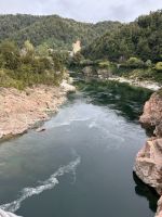Buller Gorge Schlucht &ndash; &copy; Anne Fohlert (Eberhardt TRAVEL)