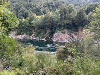 Buller Gorge Schlucht &ndash; &copy; Anne Fohlert (Eberhardt TRAVEL)