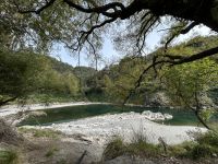 Buller Gorge Schlucht &ndash; &copy; Anne Fohlert (Eberhardt TRAVEL)