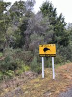 Wanderung Okarito Trig Walk &ndash; &copy; Anne Fohlert (Eberhardt TRAVEL)