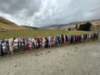 BRADRONA - BH-Zaun &ndash; &copy; Anne Fohlert (Eberhardt TRAVEL)