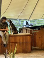 Walter Peak Farm &ndash; &copy; Anne Fohlert (Eberhardt TRAVEL)