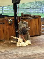 Walter Peak Farm &ndash; &copy; Anne Fohlert (Eberhardt TRAVEL)