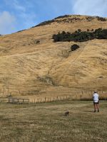 266. Akaroa
