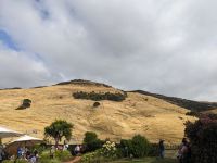 274. Akaroa