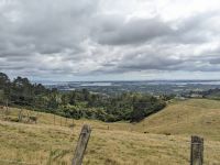 327. Maori Tauranga