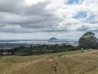 328. Maori Tauranga