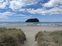 337. Tauranga