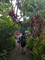 34. Kuranda.