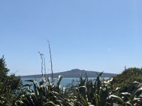 358. Auckland