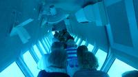 Ausflug Great Barrier Reef