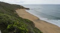 Ausflug Great Ocean Road, bei Torquay