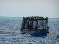 Australien - Great Barrier Reef  - Green Island