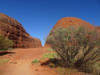 Australien - Uluru-Katatjuta-Nationalpark 