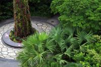 Besuch der Gardens by the Bay in Singapur mit Spaziergang OCBC Skyway