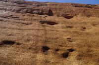 Besuch der Kata Tju?a (The Olgas) mit kleine Wanderung 