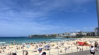Bondi Beach