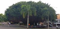 Cairns