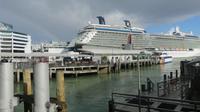 Celebrity in Auckland