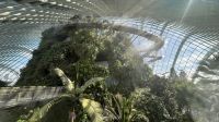 Cloud Forest