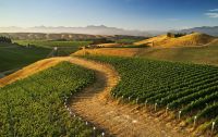 Die Weinregion Marlborough und Nautilus Weinanbaugebiet
