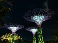 Die berühmten Supertrees in den Gardens by the Bay in Singapur
