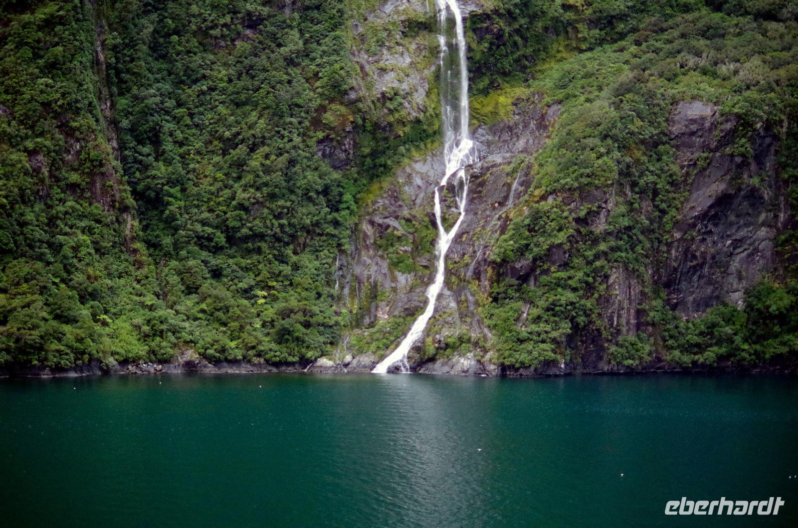 Einfahrt vom Milford Sound