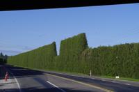 Fahrt von Tauranga nach Rotorua