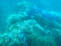 Great Barrier Reef