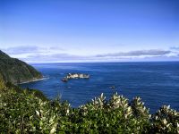 Haast See
