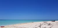 Insel (1)