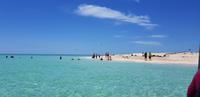 Insel (6)