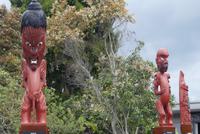 Maori-Museumsdorf in Te Puia (Rotorua)