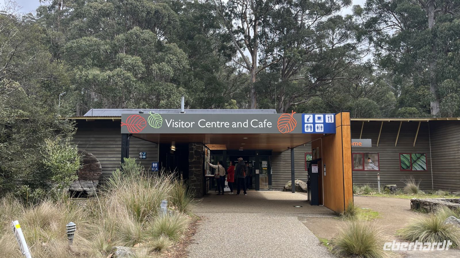 Mount Field National Park