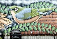 Nach dem Erdbeben von 2010 wurden in Christchurch viele Wände bunt bemalt