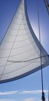 Ocean Spirit (3)