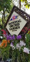 Orchideengarten