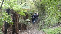 Otago Halbinsel, Glenfalloch Woodland Garten