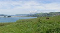Otago Halbinsel
