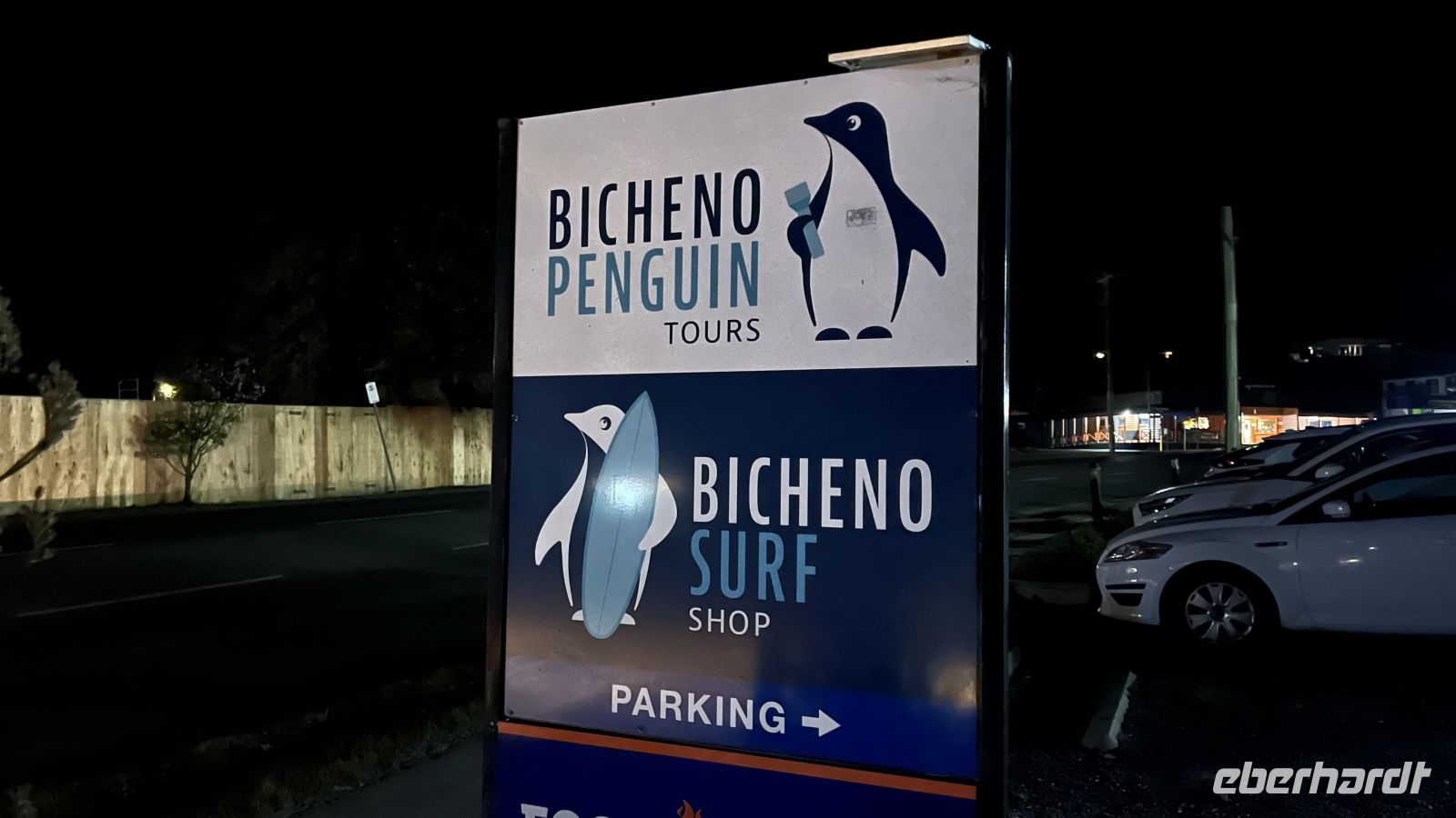 Pinguinbeobachtung in Bicheno