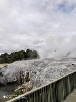 Pohutu Geyser