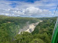 Regenwald, Cairns