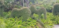 Royal Botanic Gardens Melbourne