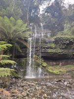 Russell Falls, Tasmanien