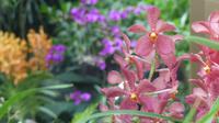 Singapur, Botanischer Garten