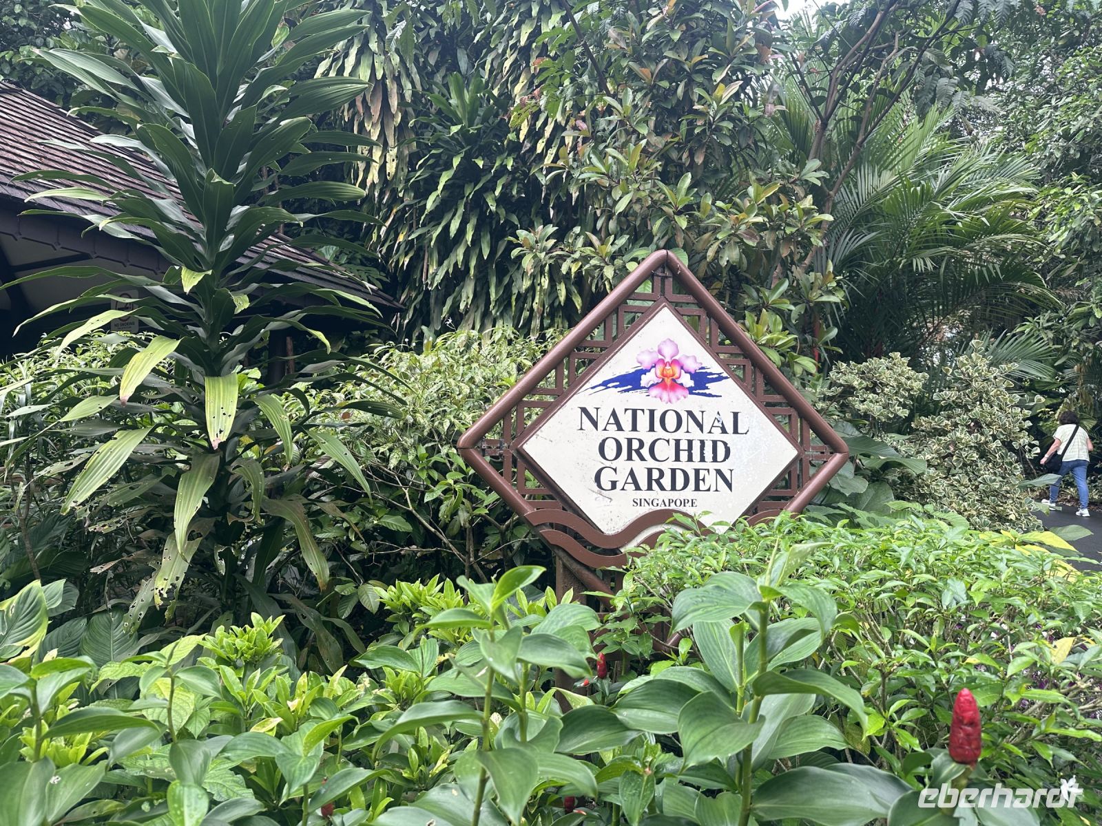 Singapur
